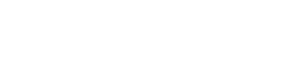 Vanderbilt Synesis